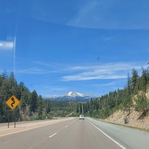 Meet your Posher, Sophie